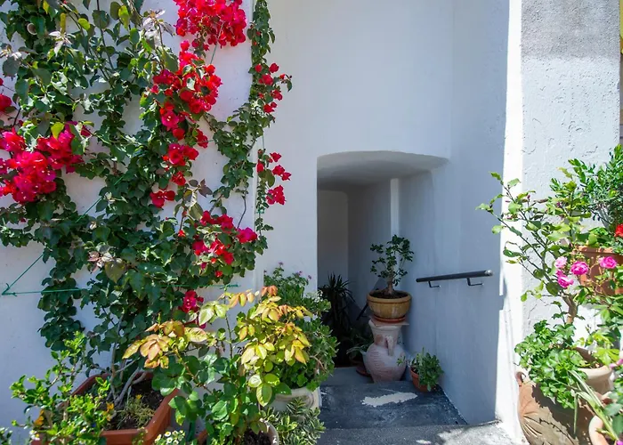 Apartmán Casalina Center *